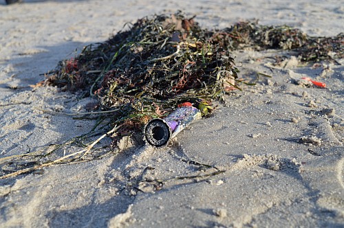 Warnemünde

Coastline - Beach, Tourism, Pollution/Litter/Relics
Nardine Stybel, EUCC-D